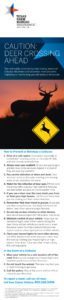 Deer Safety Infographic | Texas Heritage For Living