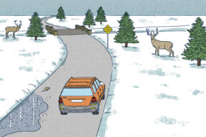 Rural Road Safety for Winter Weather