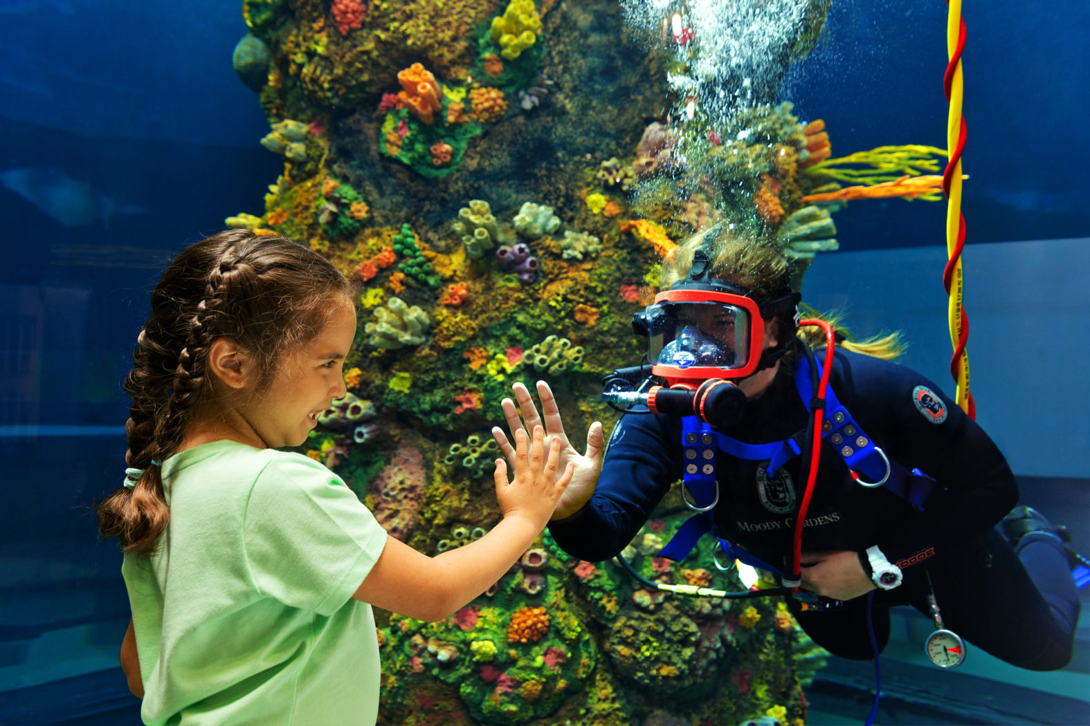 Dive Into 6 of the Best Aquariums in Texas Texas Heritage for Living