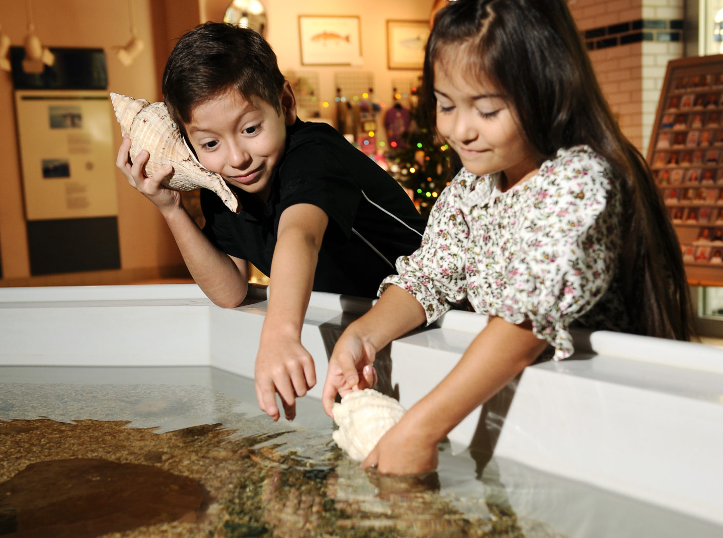 Dive Into 6 of the Best Aquariums in Texas Texas Heritage for Living