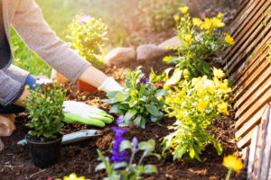 How to Start Ecological Gardening