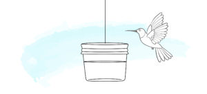 Hummingbird DIY bird feeders