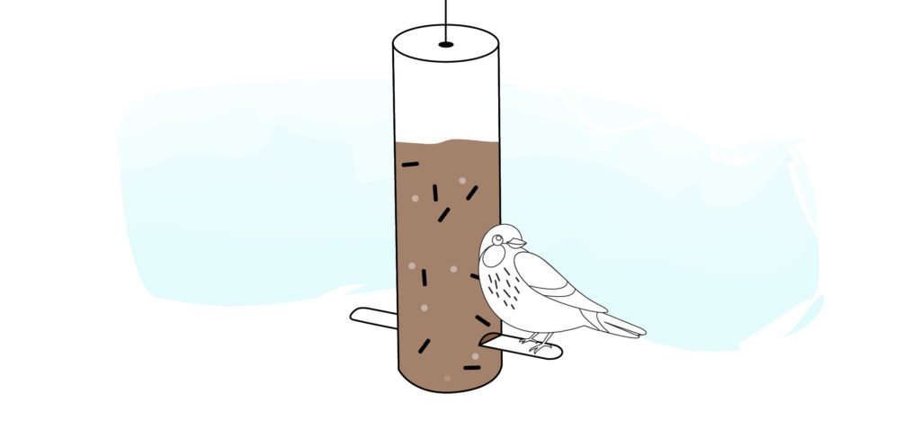 Thistle DIY bird feeders
