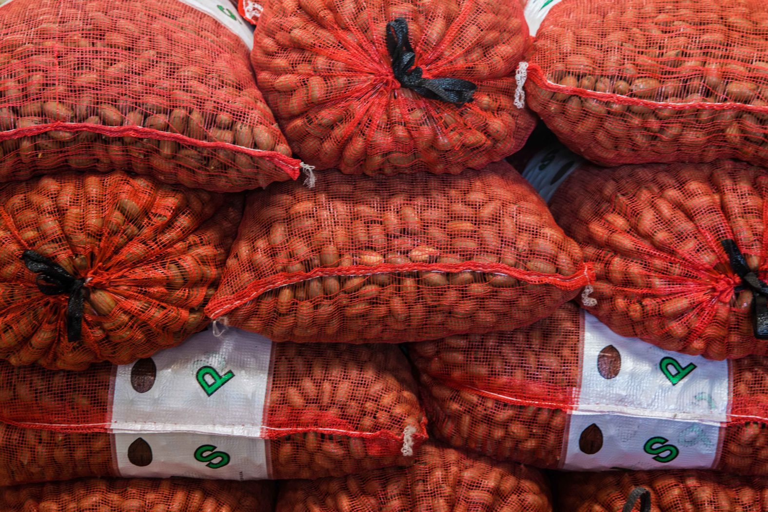 Texas Pecan Farms A History and Where to Pick Your Own Texas