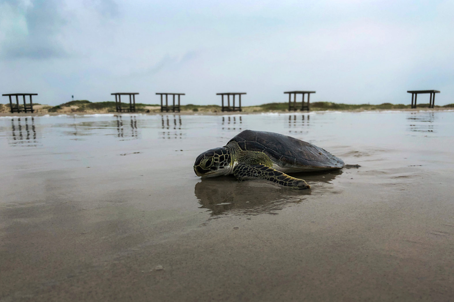 A Guide to the Best Beaches in Texas | Texas Heritage for Living