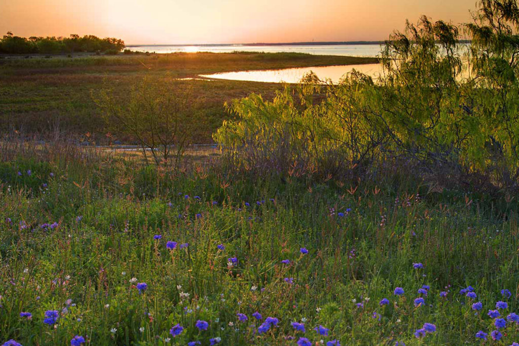 South Texas state parks
