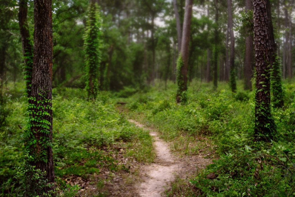hiking trails in Texas