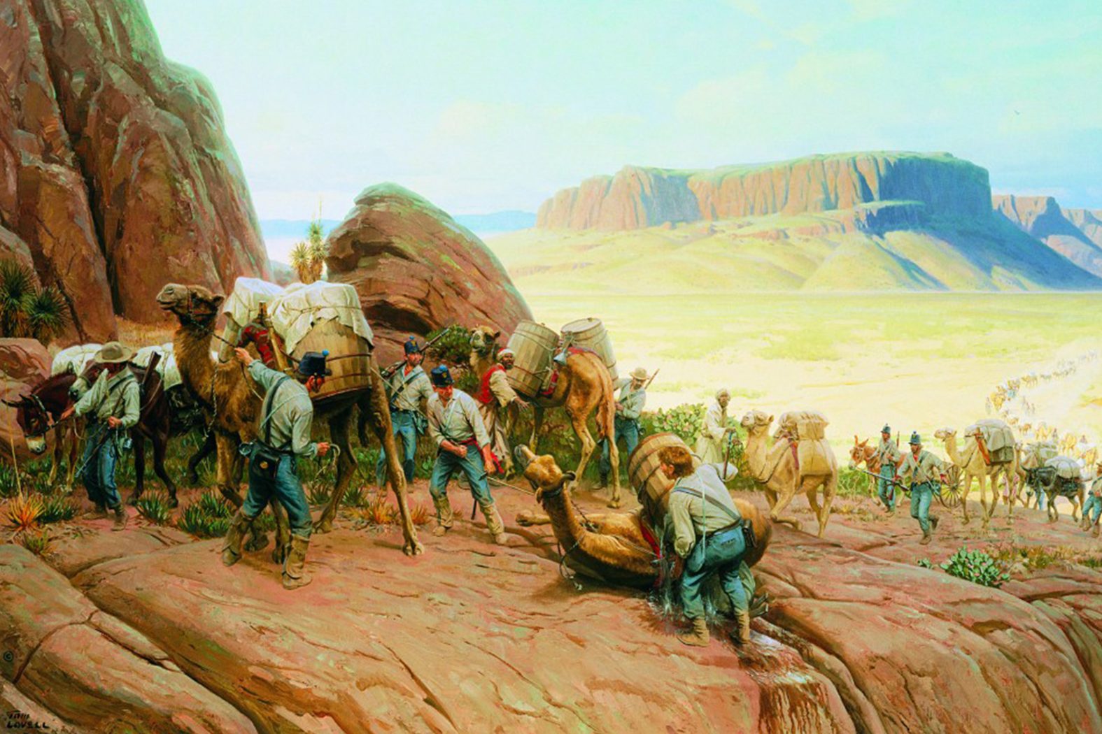 the great camel experiment