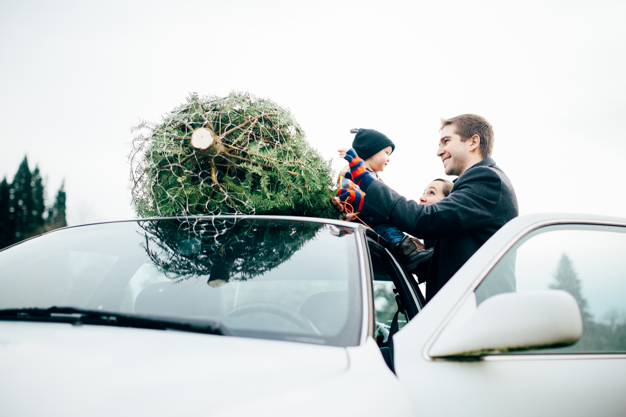Family Tying Christmas Tree to Car Texas Heritage for Living