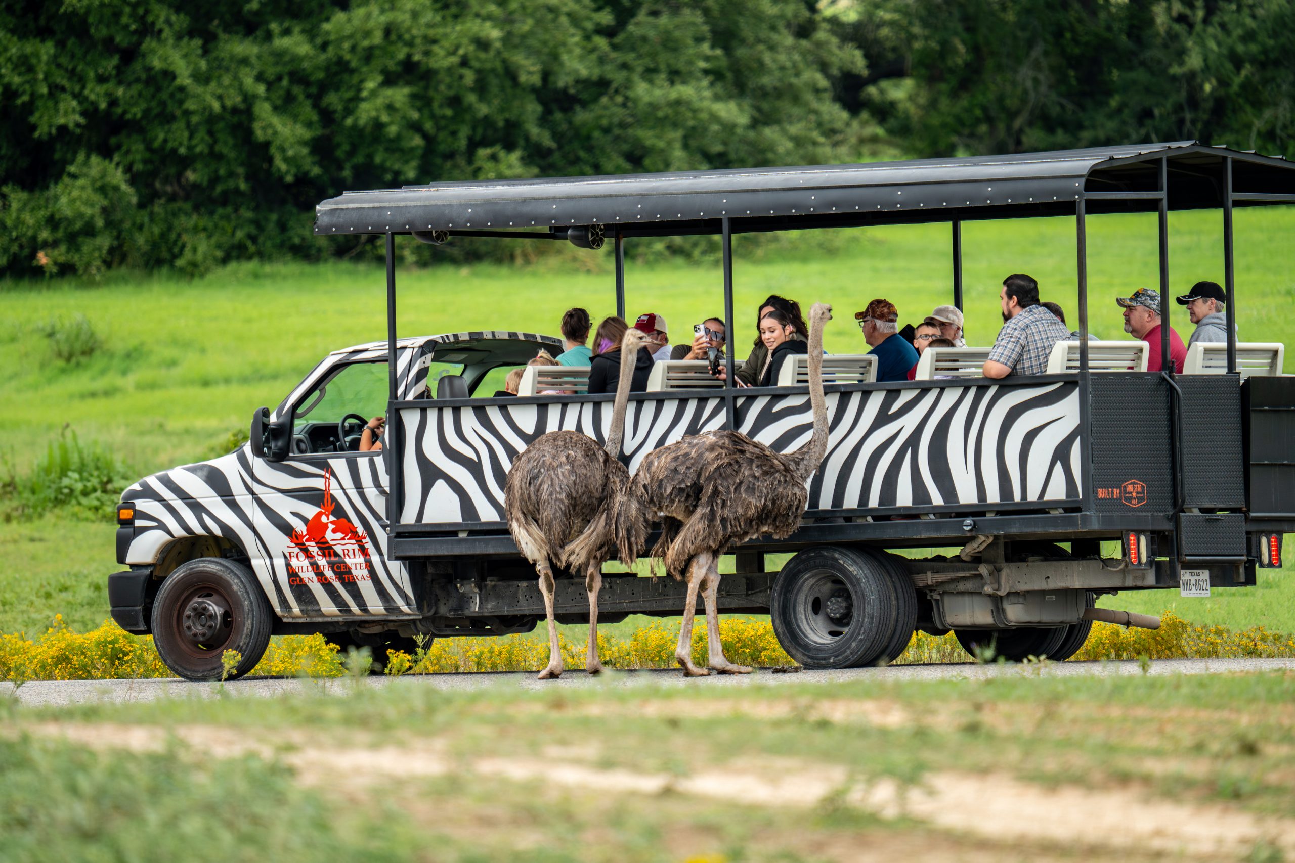 TFBIC-0509 Drive Through Safaris-Fossil Rim-Photo courtesy of Fossil ...