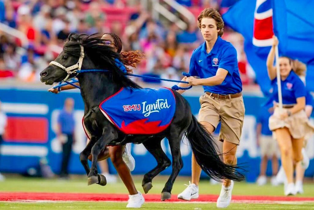 The Legends Behind 6 Texas College Mascots | Texas Heritage for Living