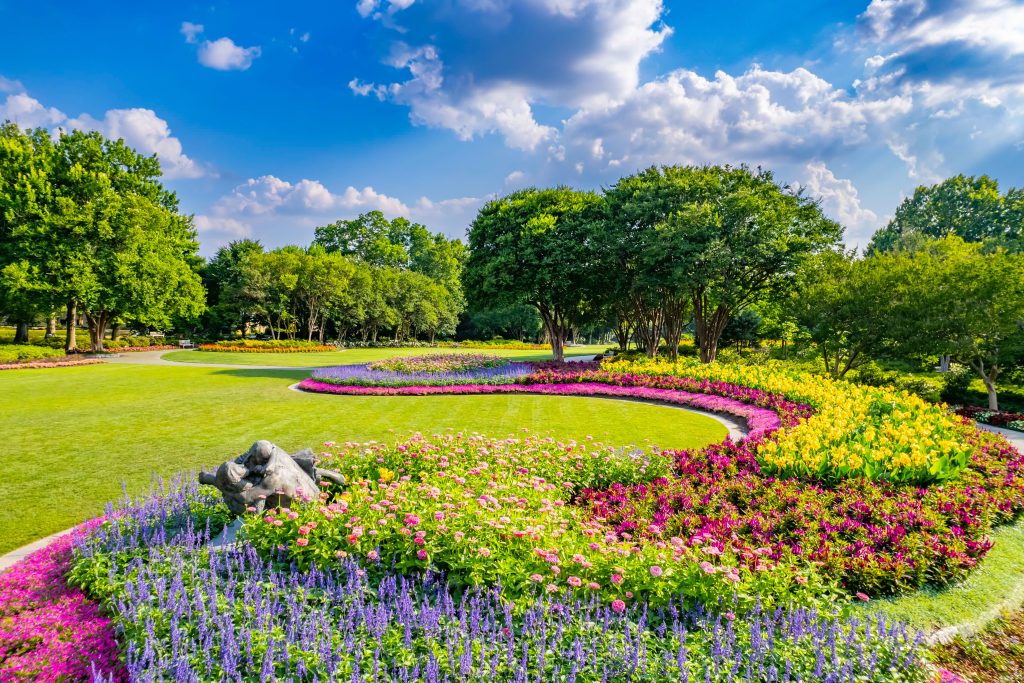 landscape filled with purple and pink flowers at the Dallas Arboretum