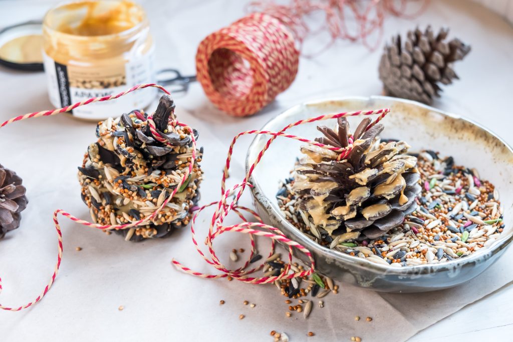 pinecone birdfeeder craft