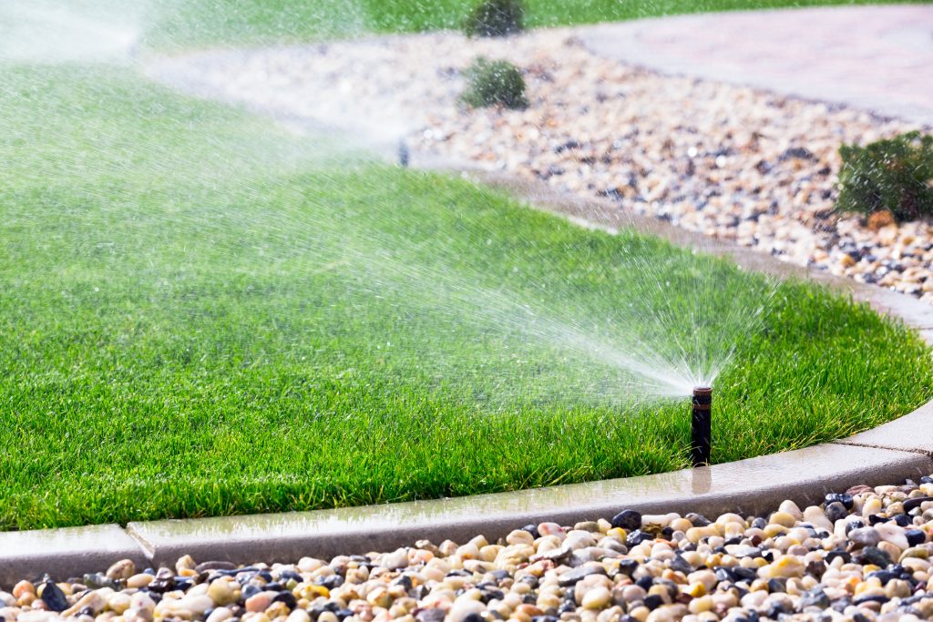 Sprinkler watering lawn.