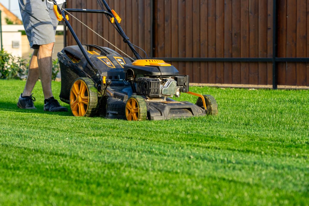 Lawnmower on grass.