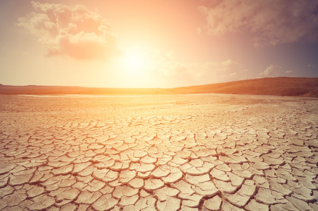 Cracked earth on a sunny day.