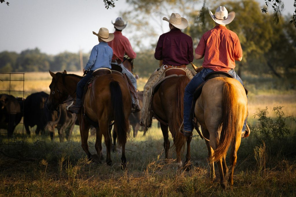 Cowboys riding horses.
