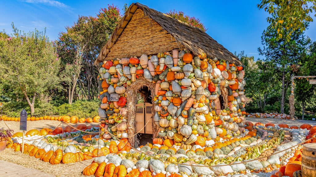 Pumpkin covered house at Dallas Arboretum autumn festival.