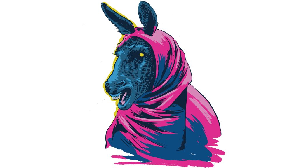 Illustration of the donkey lady.