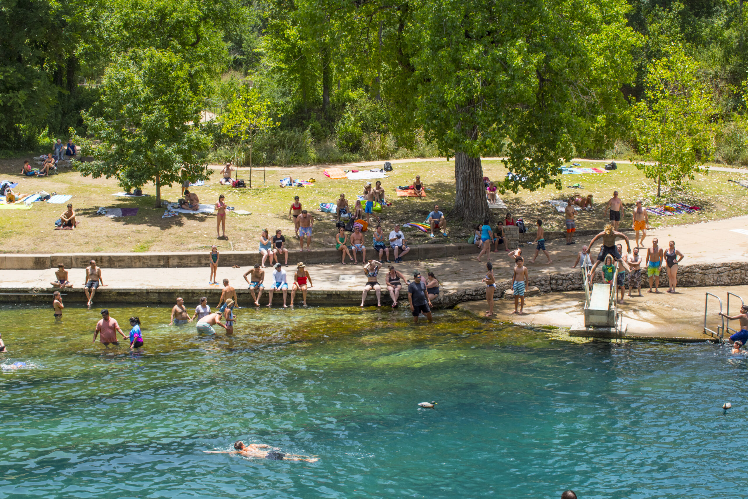 Barton Springs