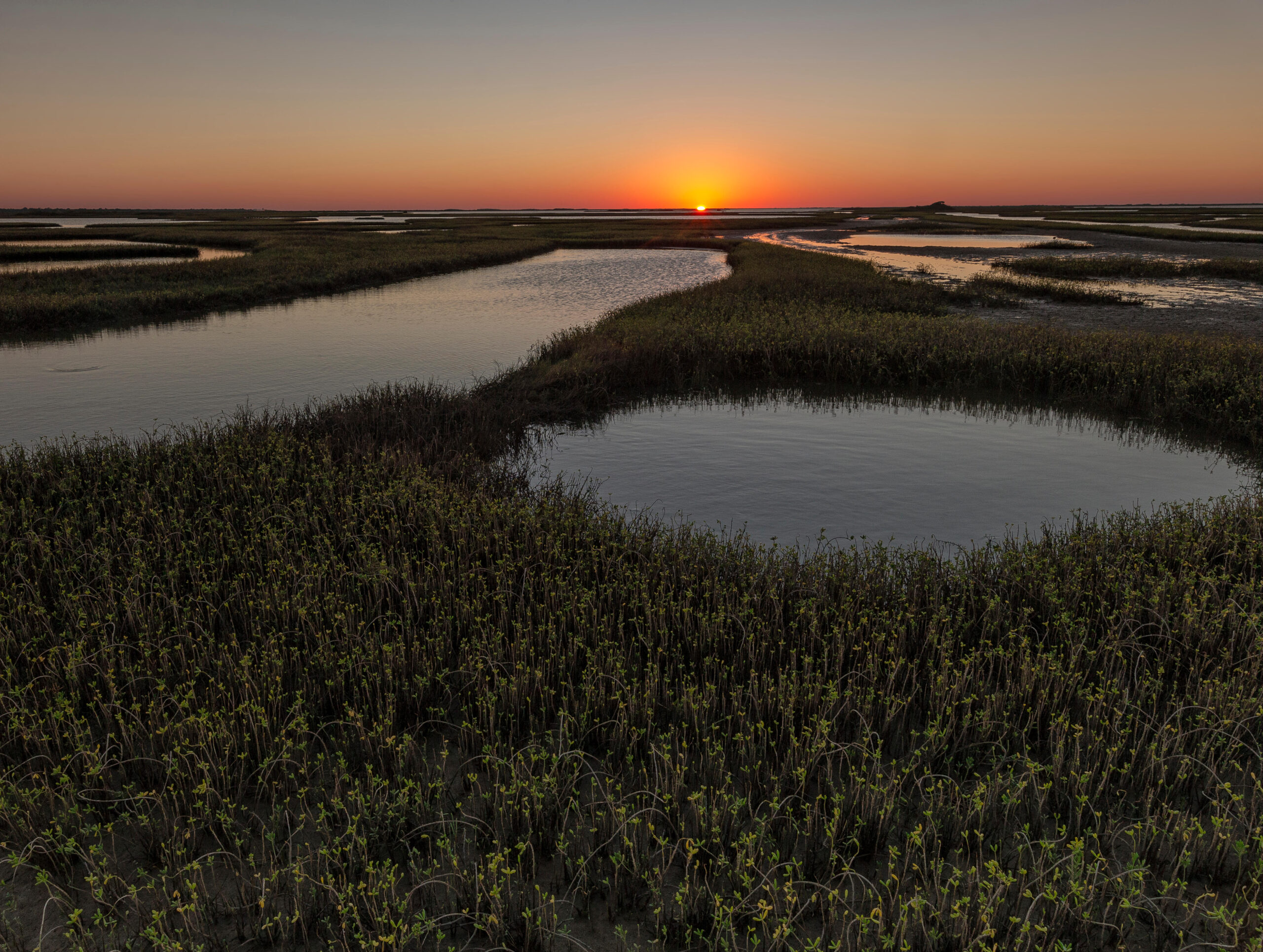 wildlife sanctuaries Texas