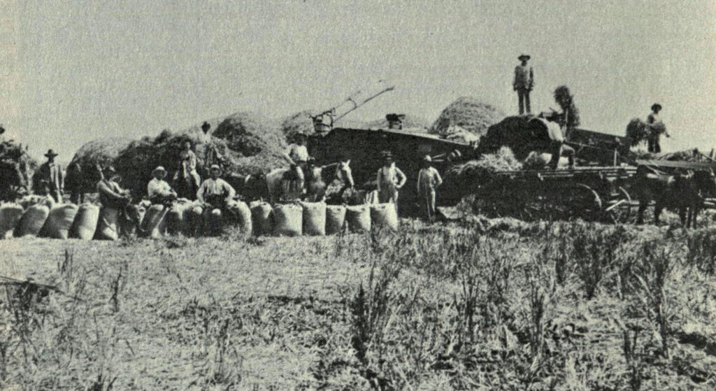 A History of Texas Agriculture