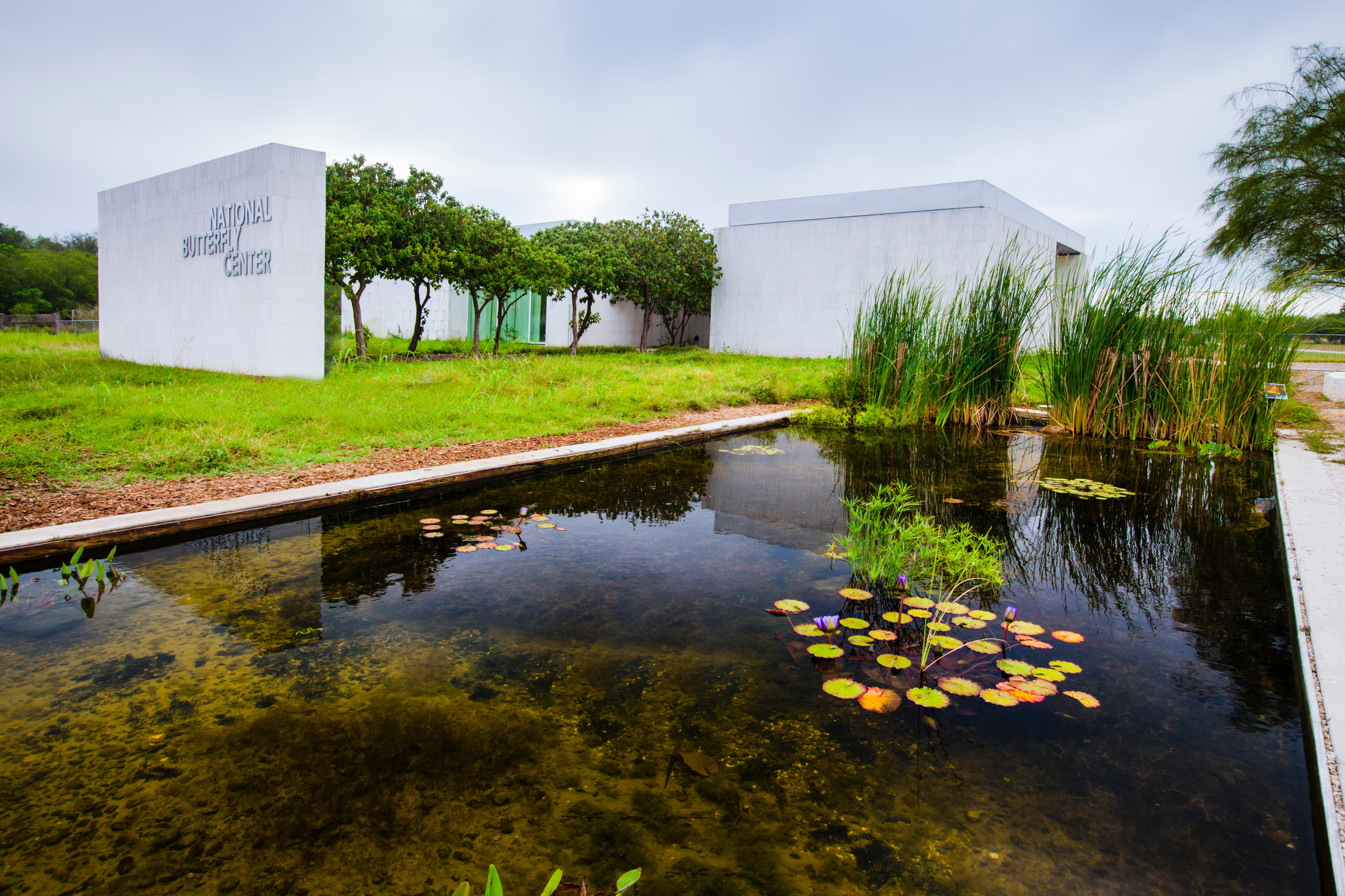 Matagorda-Island-Wildlife-Alamy-Danita-Delimont-Creative