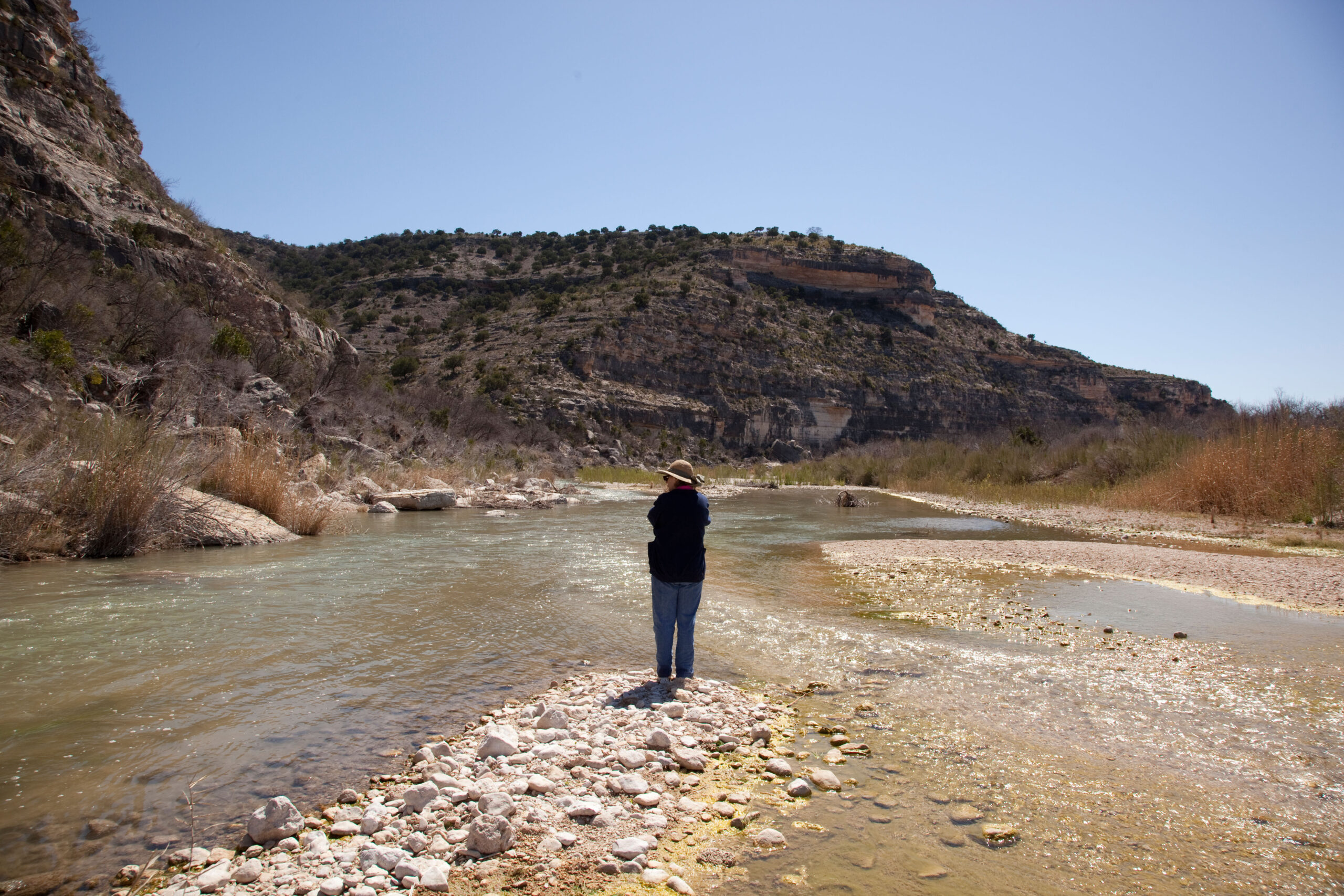 National-Butterfly-Center-Alamy-Danita-Delimont
