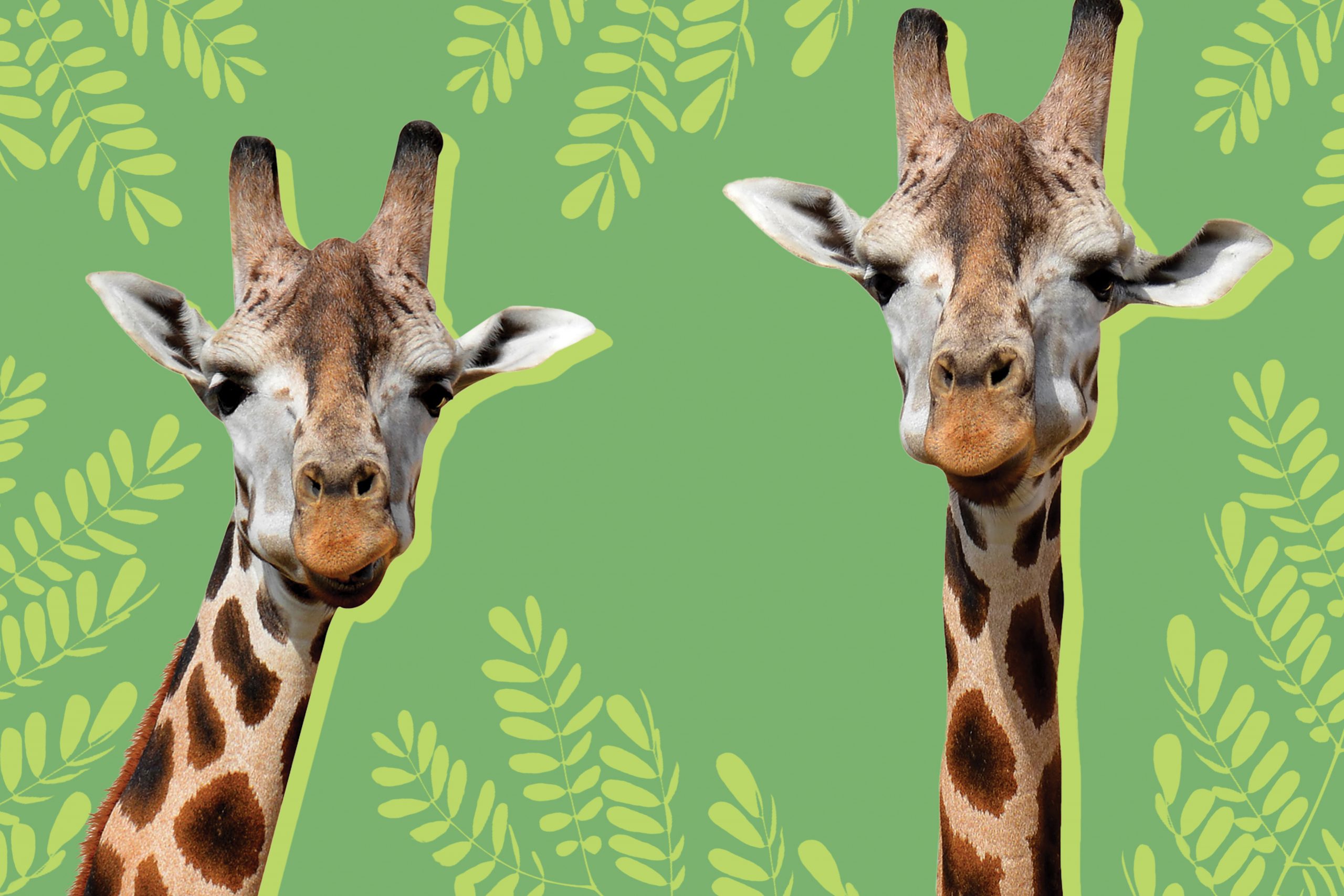 Explore Texas’ Wild Side