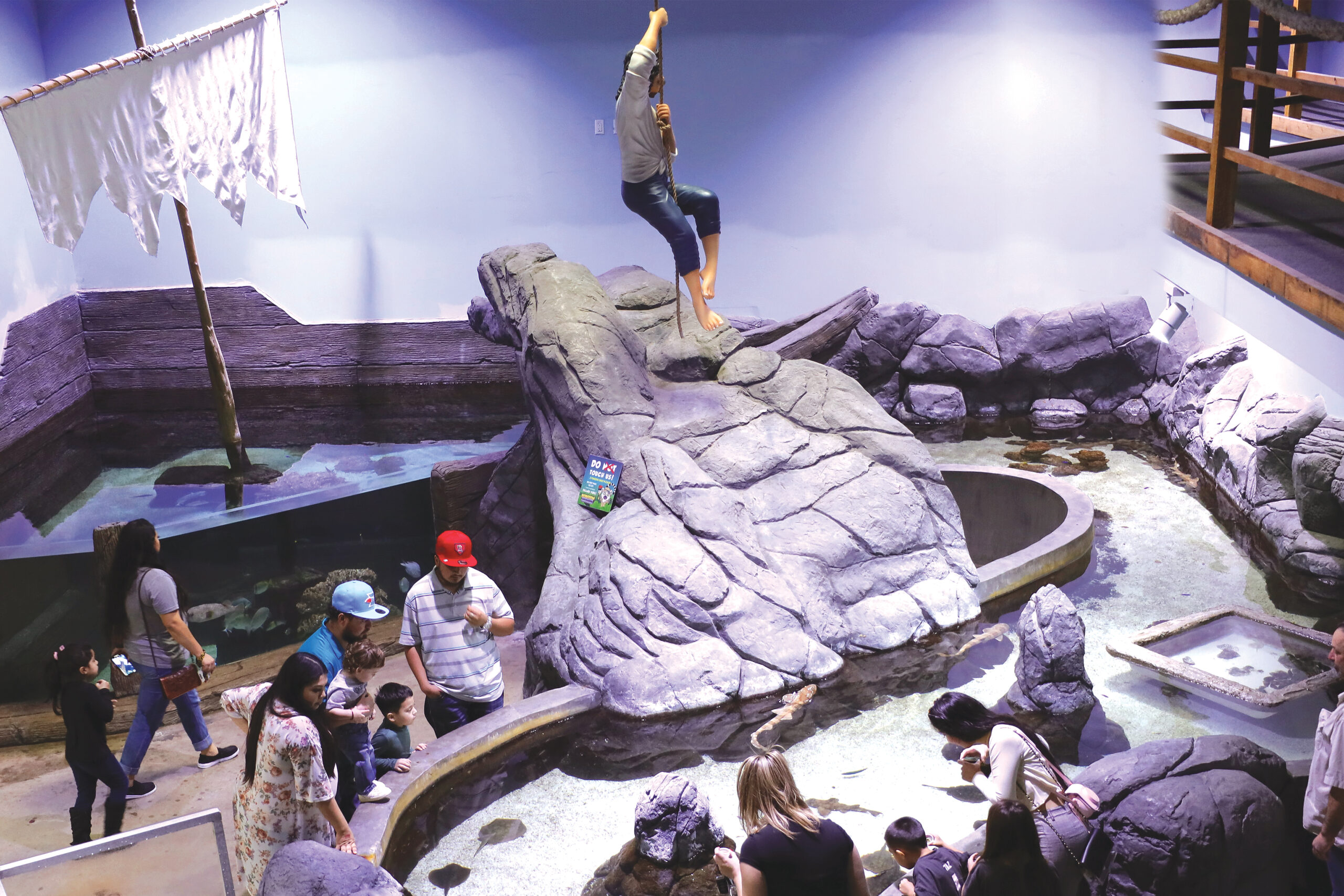 Noon Year's Eve event at aquarium in Houston.