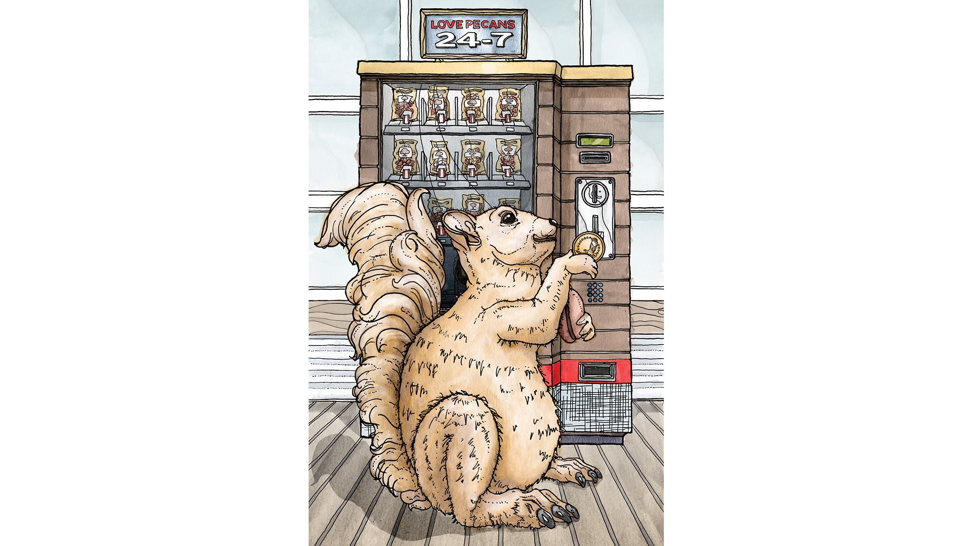 Illustration of Ms. Pearl, the squirrel, putting a coin in the vending machine outside of Berdoll Pecan Candy & Gift Company.