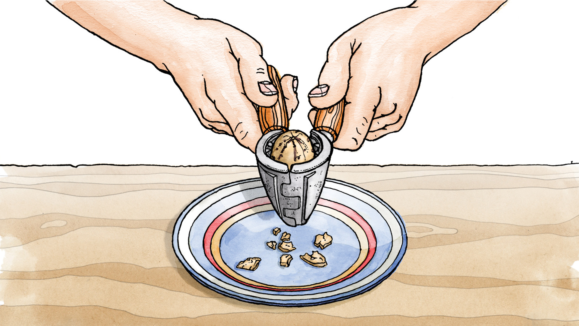 Illustration of someone shelling and cracking pecans.