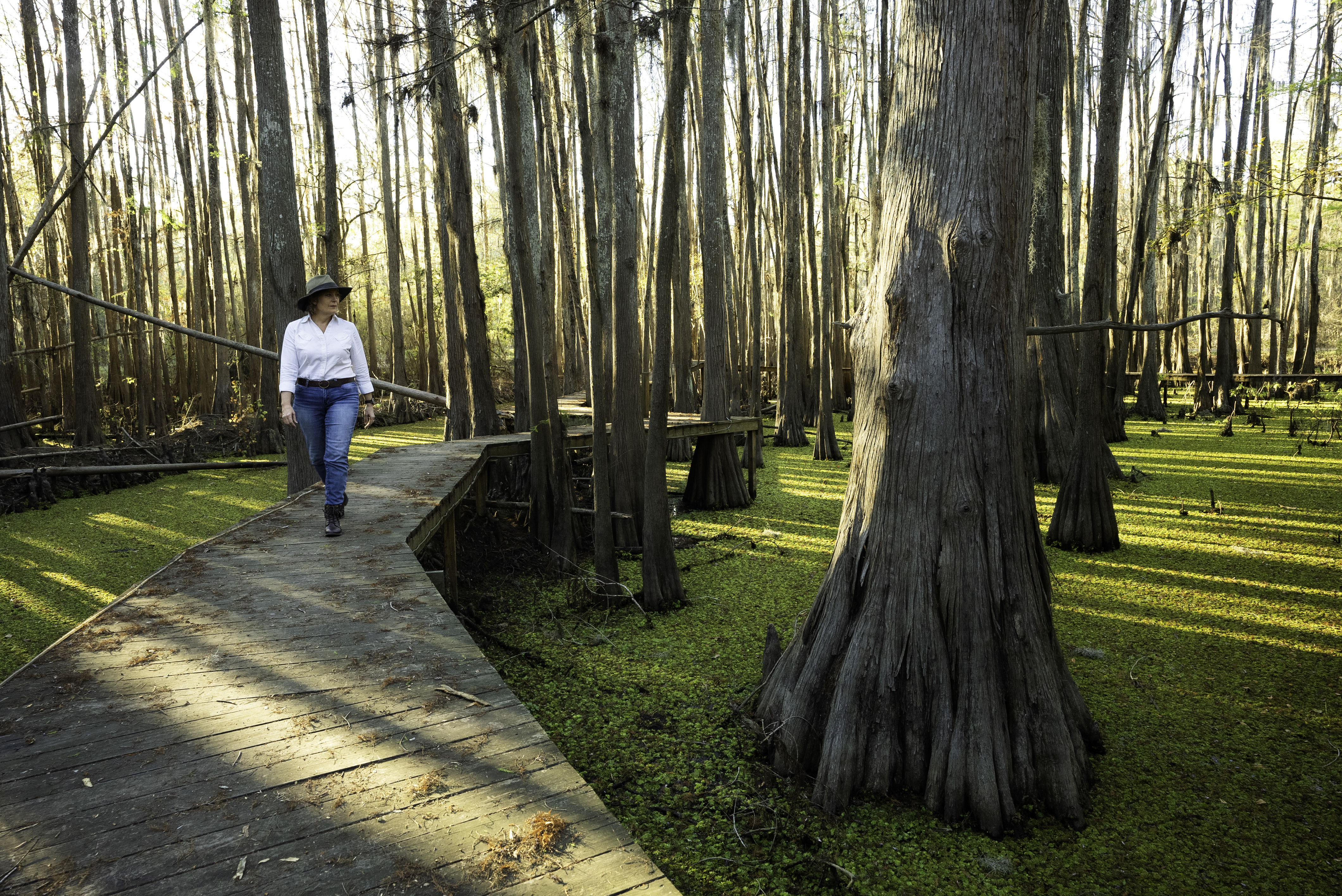 Uncertain Caddo Lake