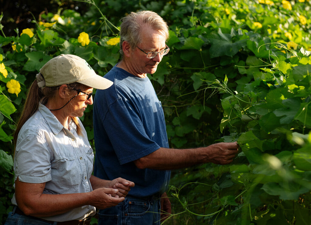 Meet Wise County’s Luffa Authority