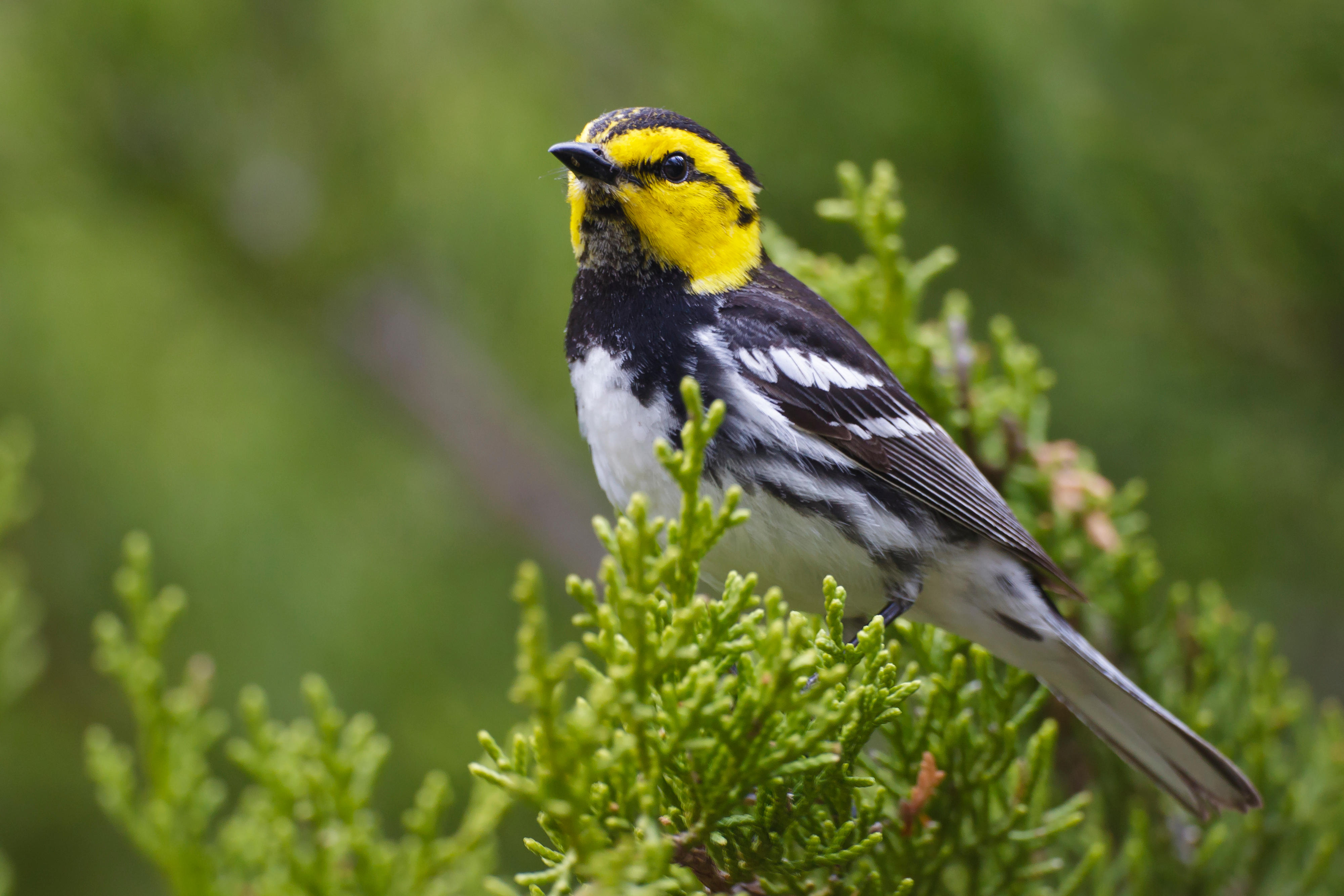 texas nature preserves