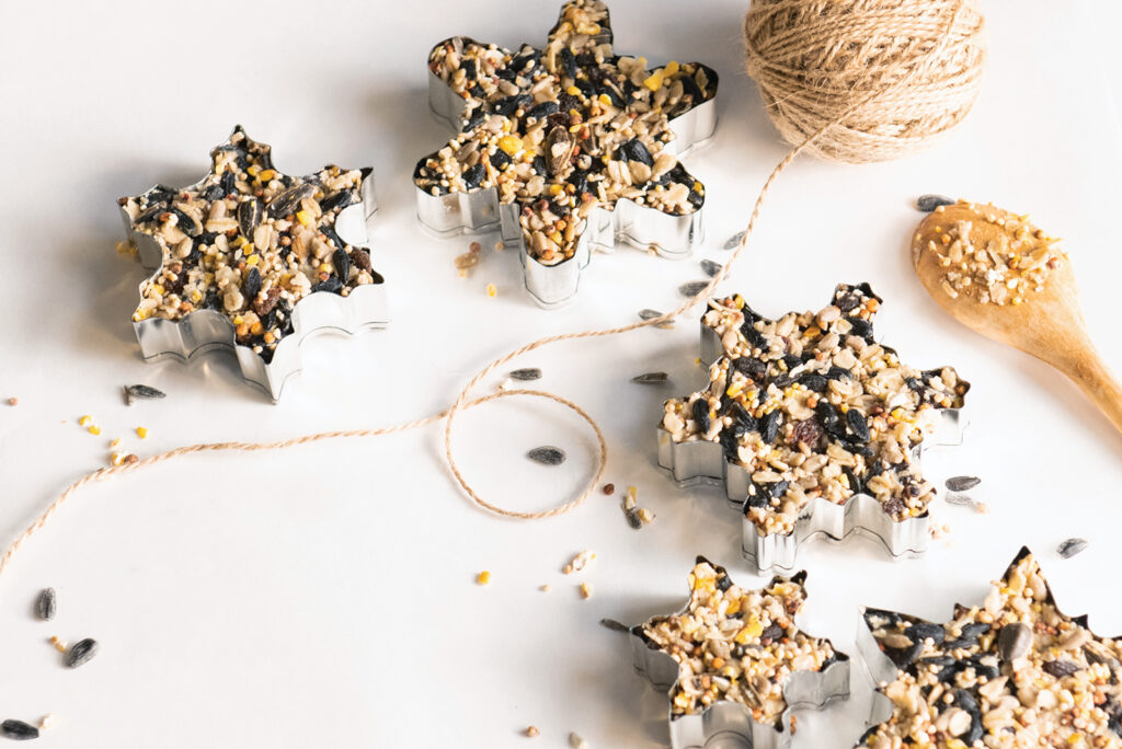 Homemade Winter Birdseed Cakes