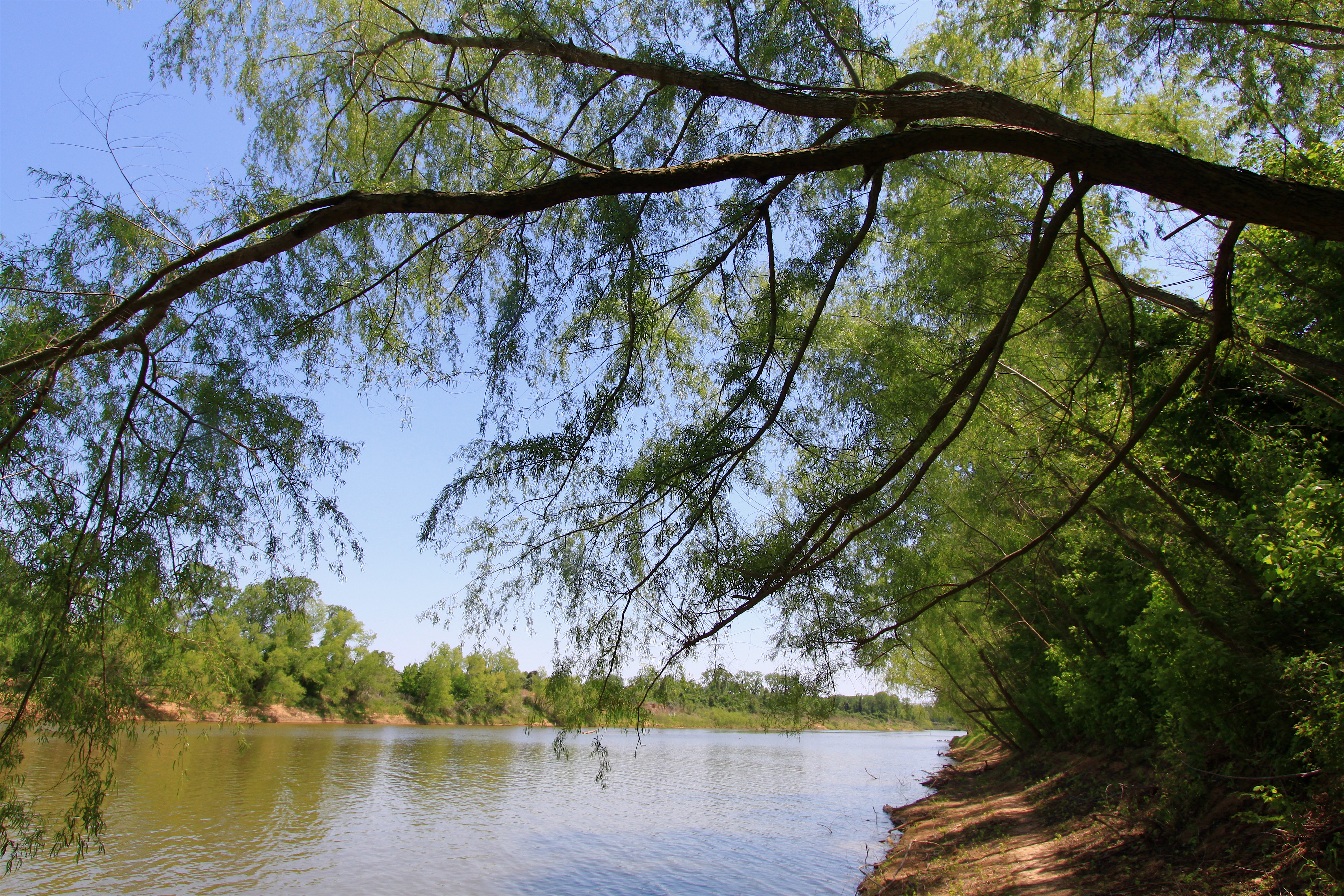 Texas Kayak Brazo River