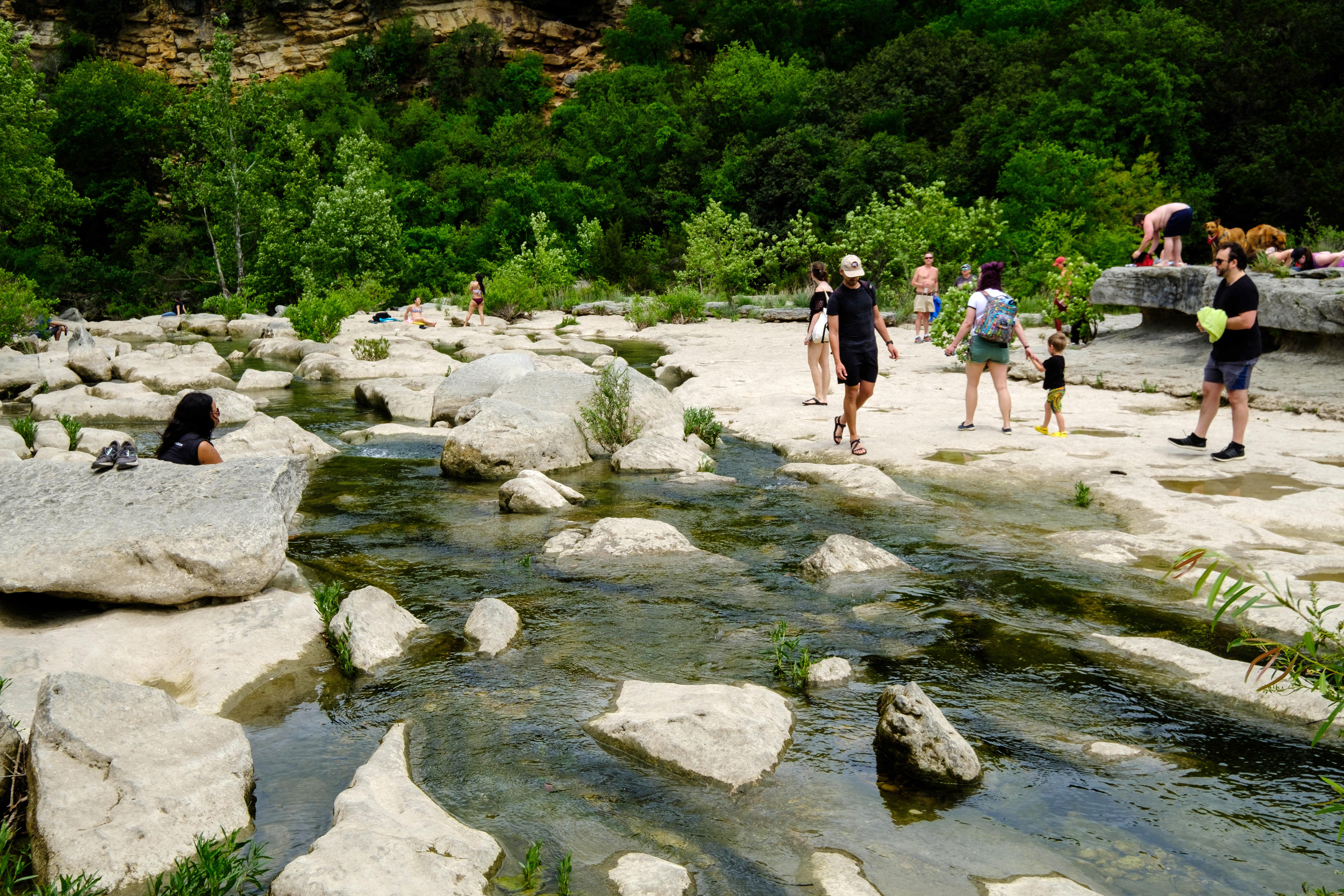 dog-friendly activities central texas