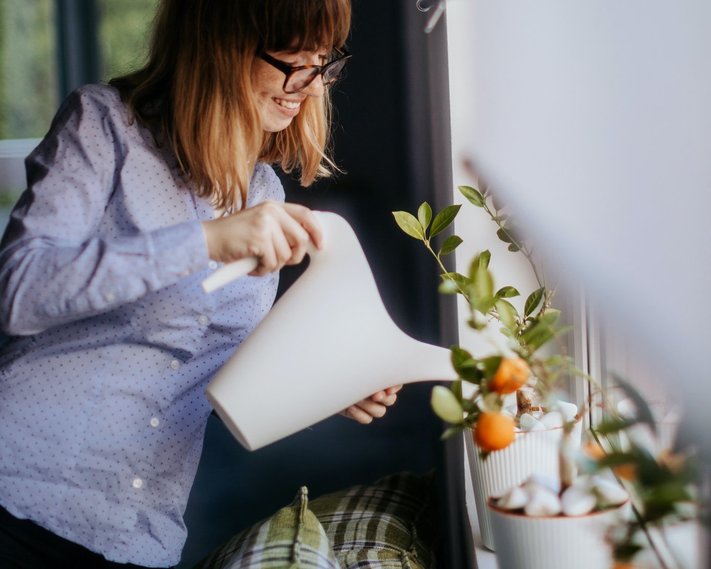 How to Grow Citrus Trees in Texas