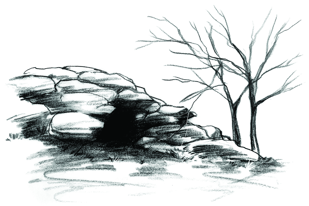 Cove Hollow Texas Treasure