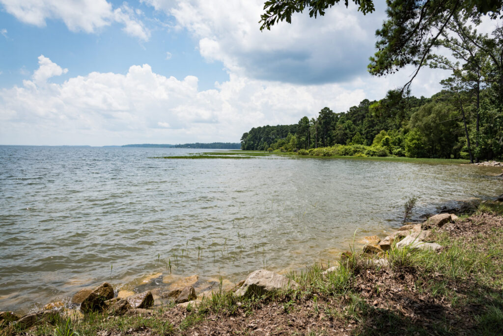 Noodling for Catfish in Texas’ Lakes