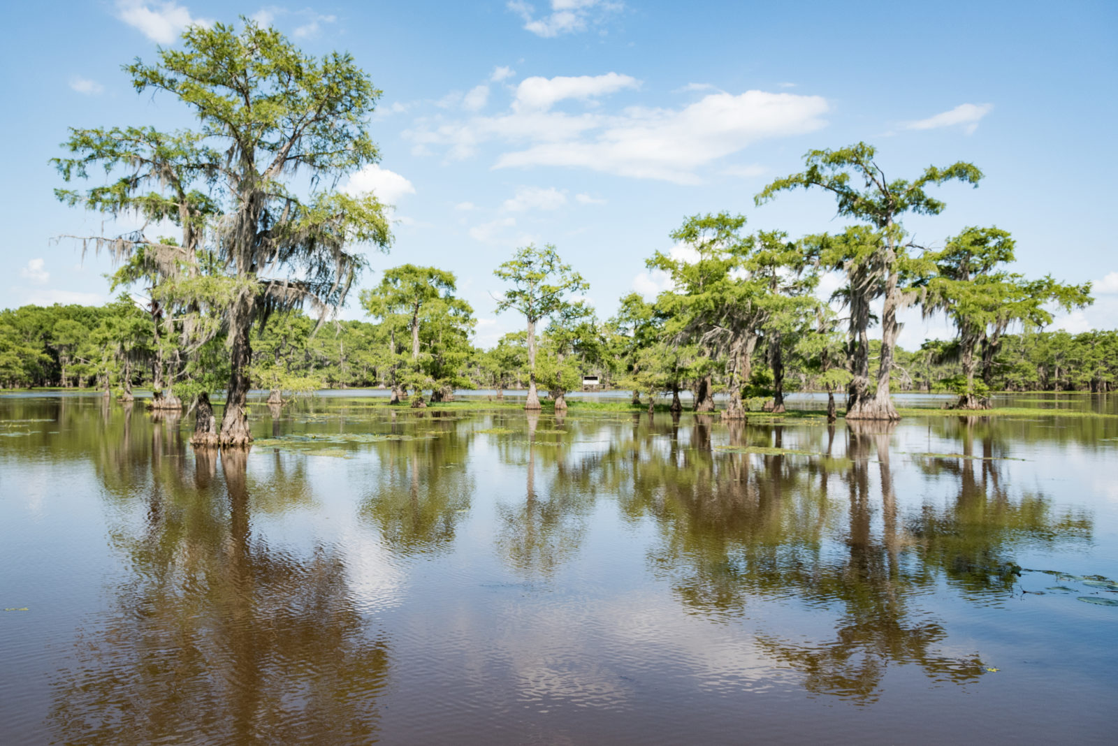 On the Edge of the Lone Star state