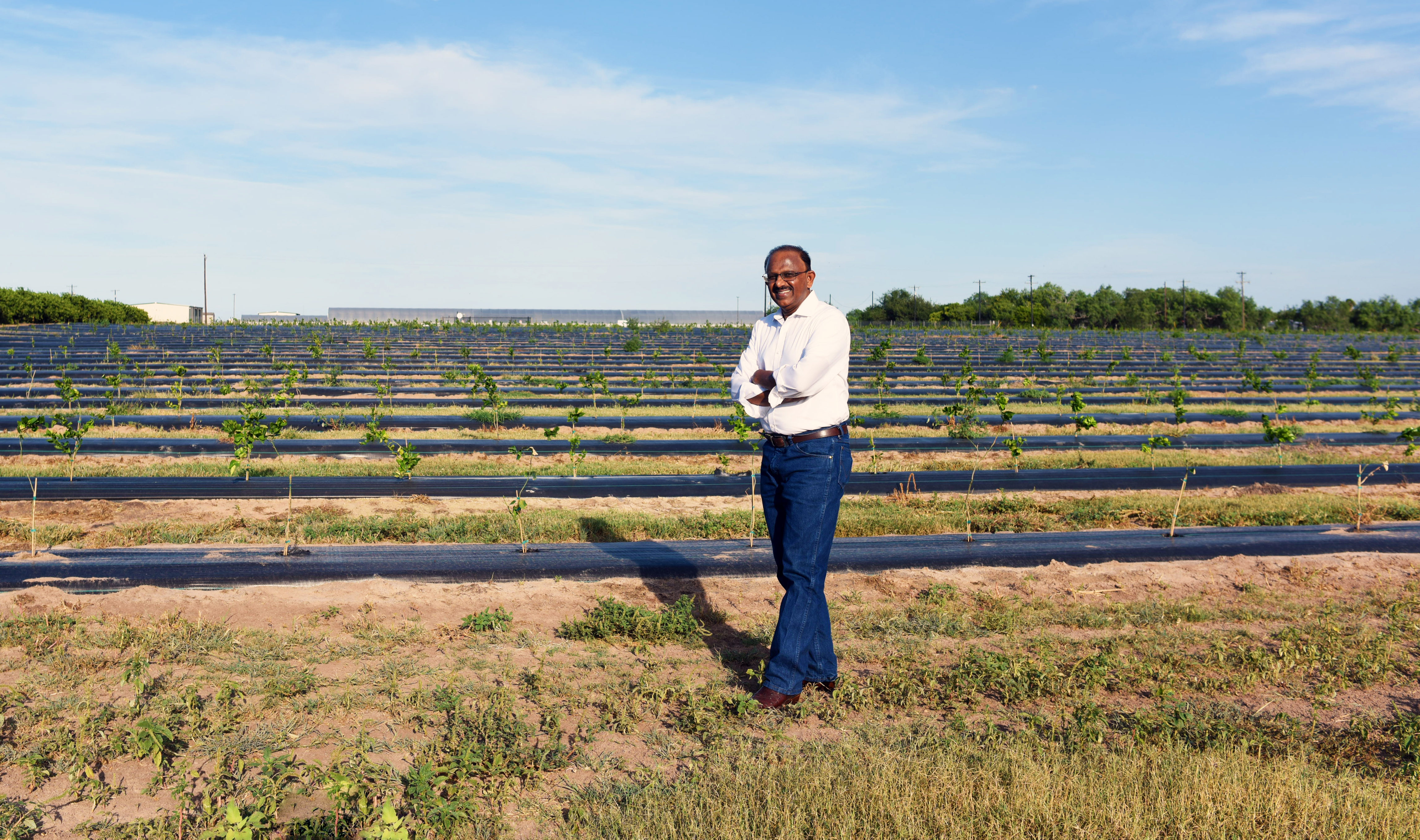 The Citrus Scientist Innovating to Improve Texas’ Farms