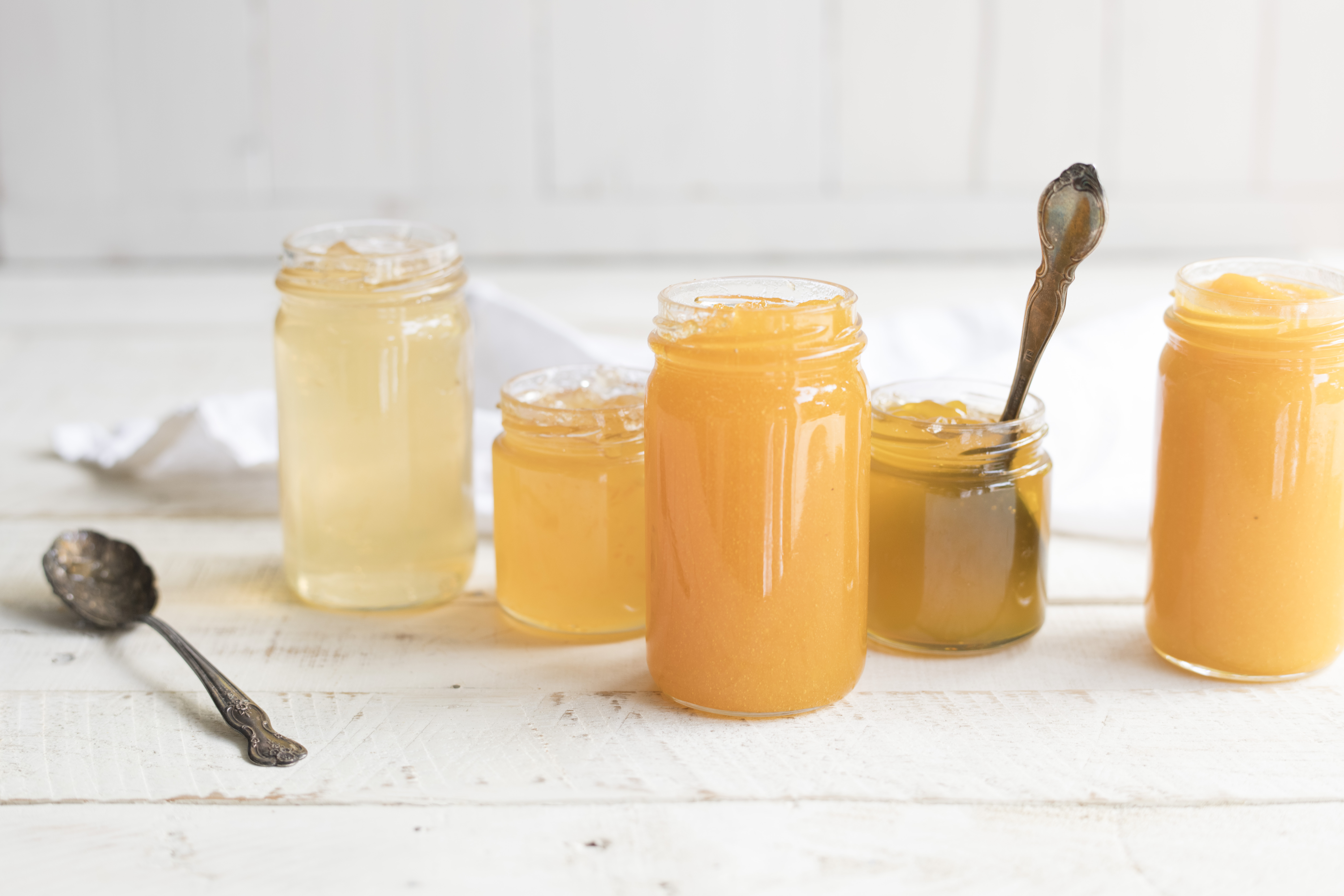 Texas jellies - dandelion