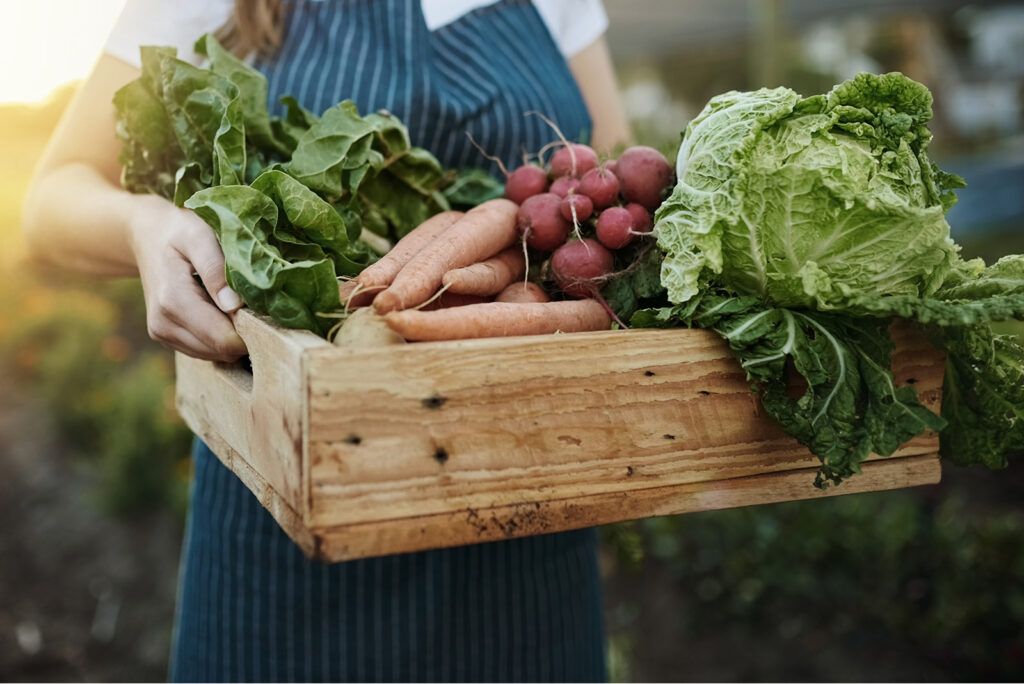 A Guide to Texas’ Gardening Zones
