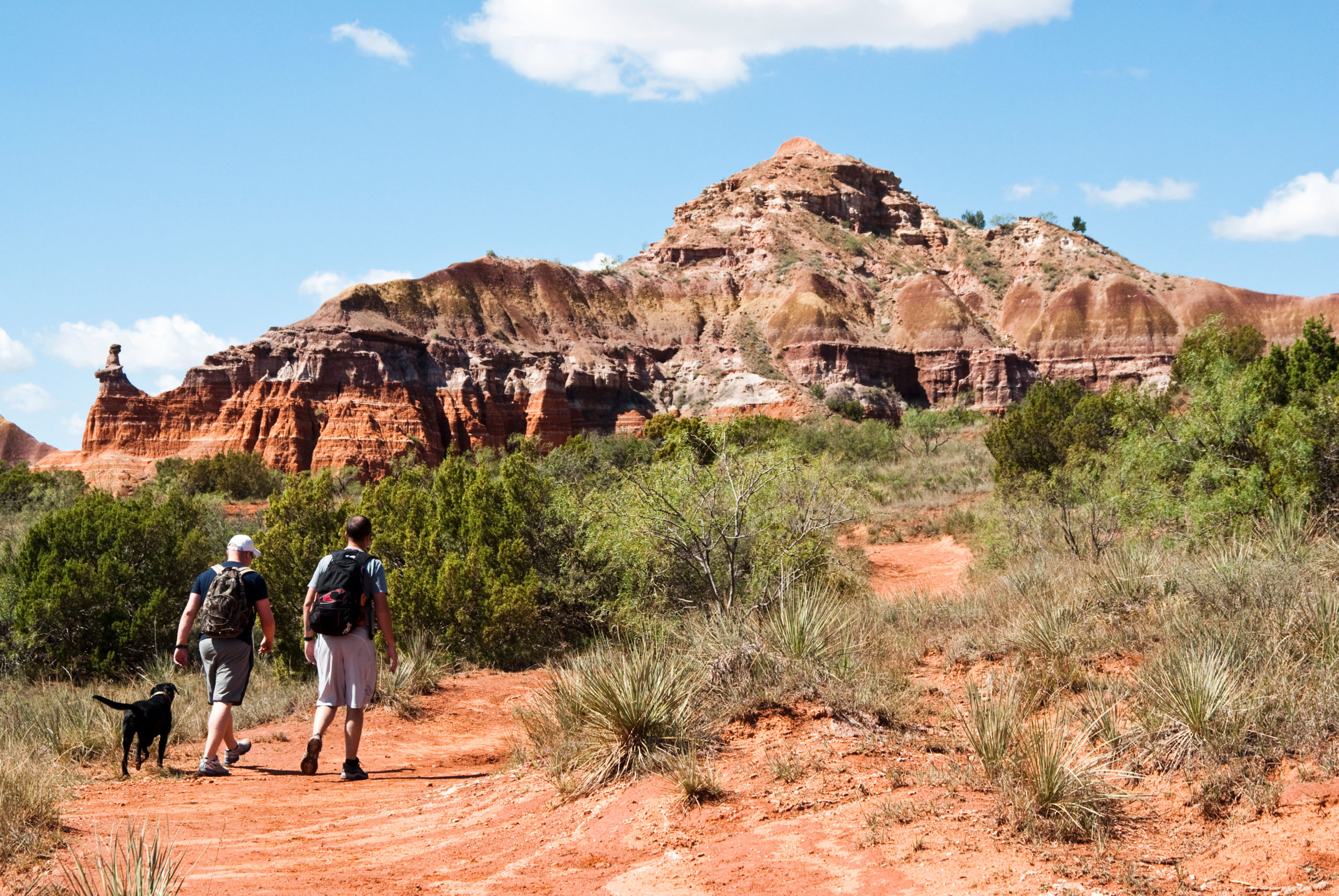 Dog-Friendly Activities for the Dog Days of Summer