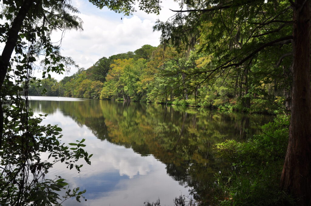 Explore the 4 National Forests in Texas