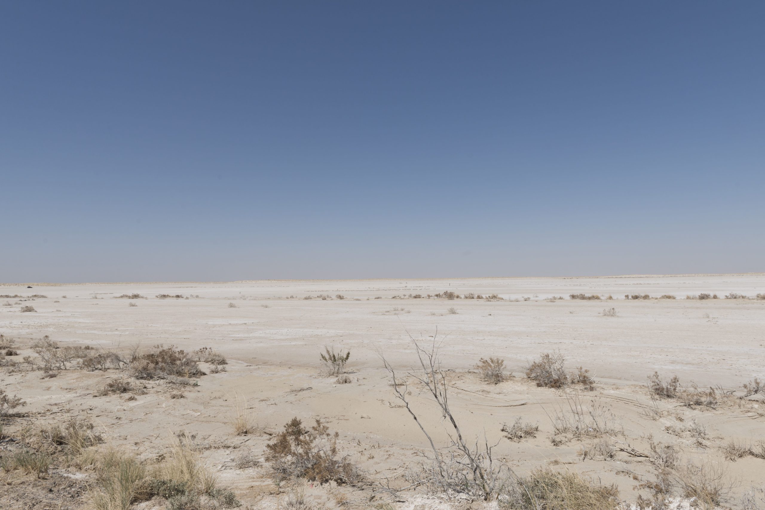 City Spotlight: Salt Flat