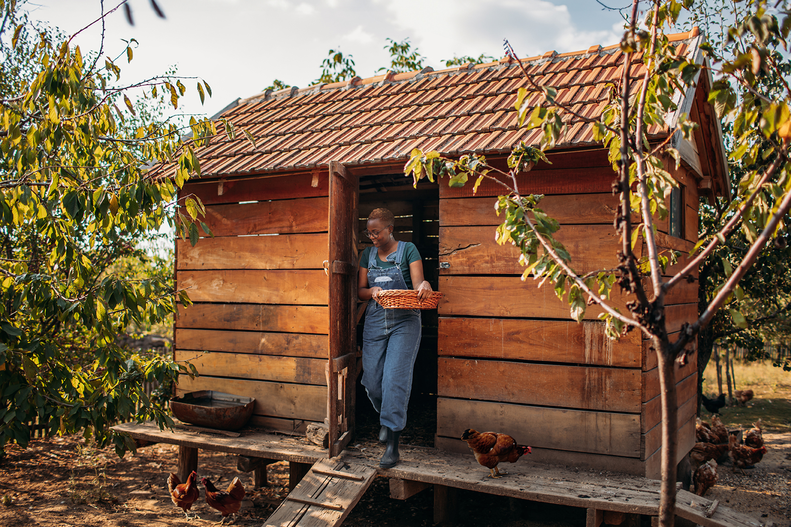 Stay Safe While Decorating for the Holidays