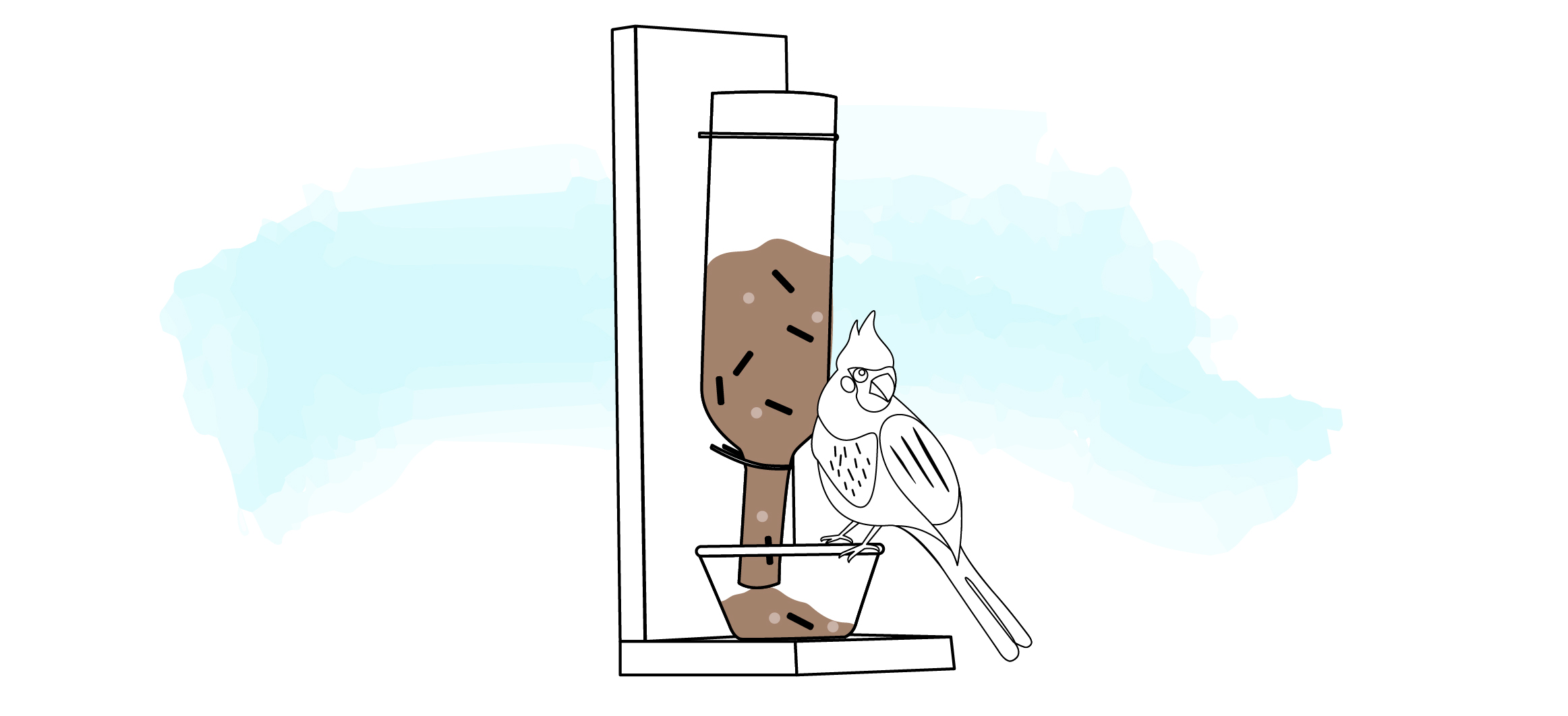 Hopper DIY bird feeders